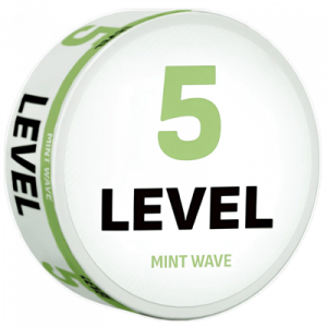 Level 5 Mint Wave 5mg