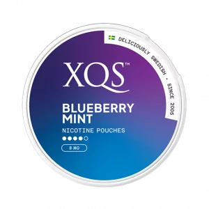 XQS Blueberry Mint 16mg