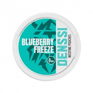 Denssi Blueberry Freeze 8mg