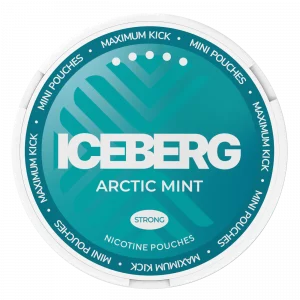 Iceberg Mini Arctic Mint 20mg